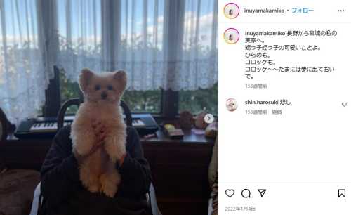 犬山紙子の父親と母親は大山健太郎と家族関係？実家はアイリスオーヤマ一族！