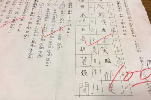 小野寺吟雲の中学校や小学校は横浜中華学院？インターナショナルスクールは本当？